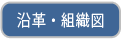 沿革・組織図